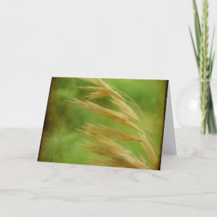 Grass Seed Card
