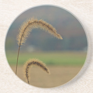 Grass Seed Stalks Coaster