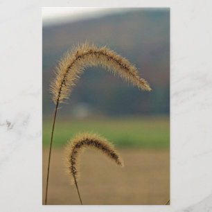 Grass Seed Stalks Stationery