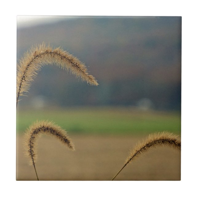Grass Seed Stalks Tile (Front)
