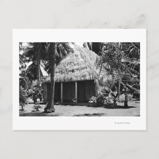 Grass Shack on Beach - Hawaii Island Postcard (Front)