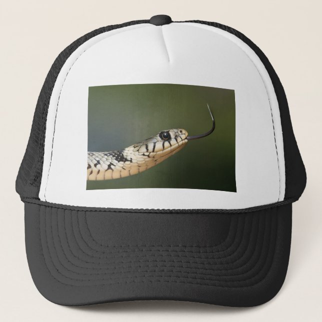 Grass Snake Trucker Hat (Front)