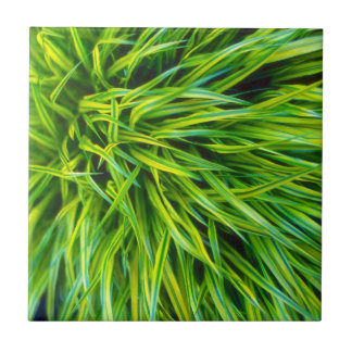 Grass Tile