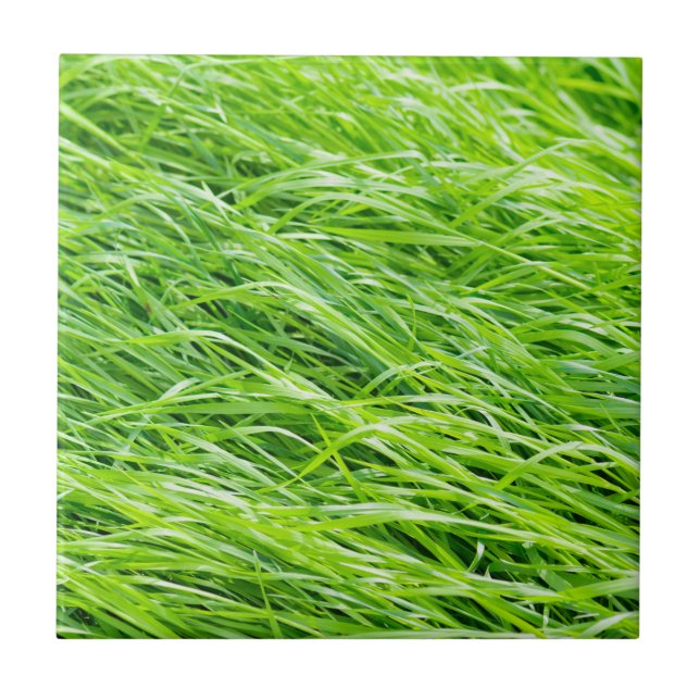 Grass Tile (Front)