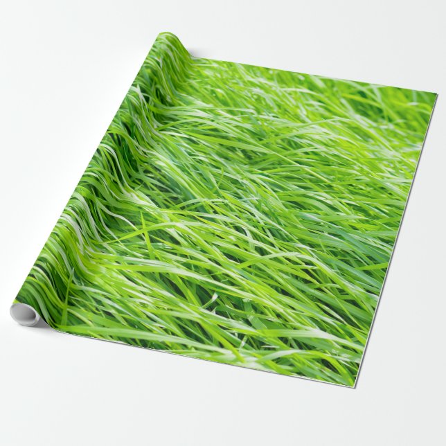 Grass Wrapping Paper (Unrolled)
