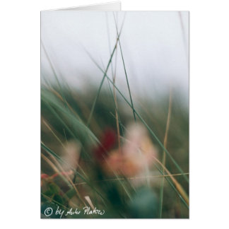 grasses