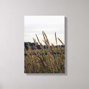 Grasses Blowing in the Wind Canvas Print