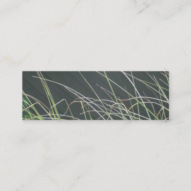 Grasses Business Card (Front)