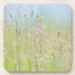 Grasses in motion coaster