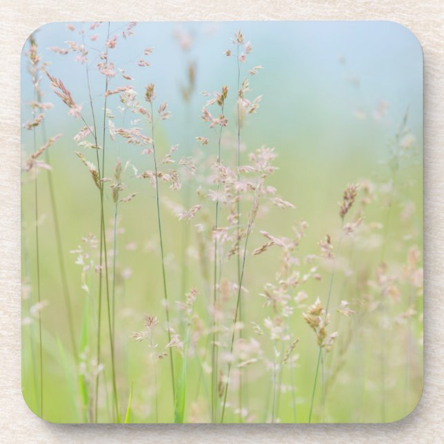 Grasses in motion coaster (Front)