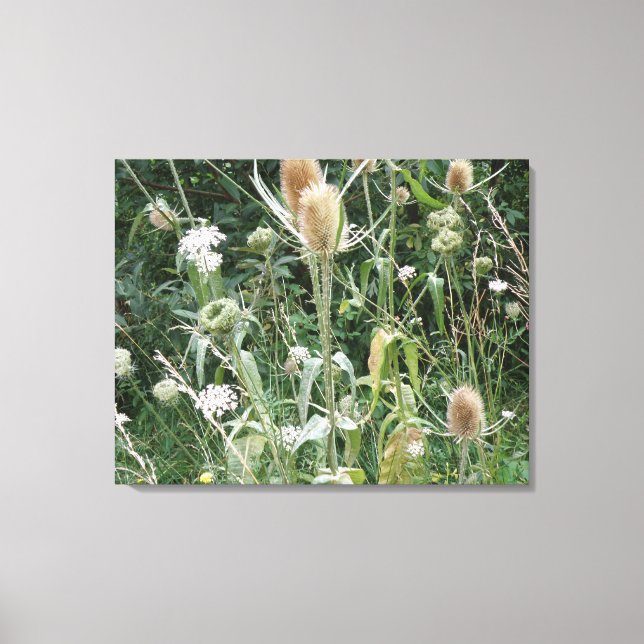 Grasses sauvages toile Imprimer (Recto)