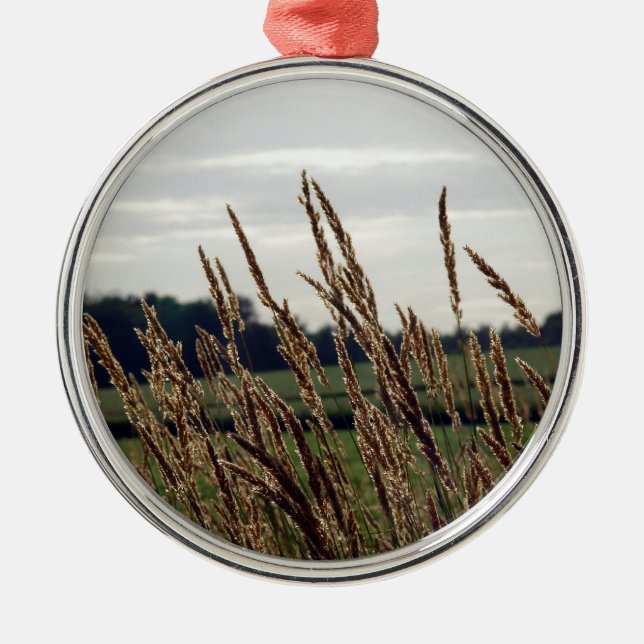 Grasses Waving in the Wind Metal Ornament (Front)