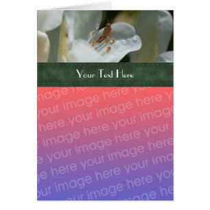 Grasshopper And Azalea Floral Photo Card