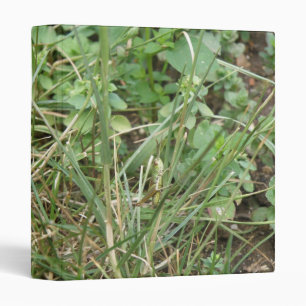 Grasshopper Camouflage Binder