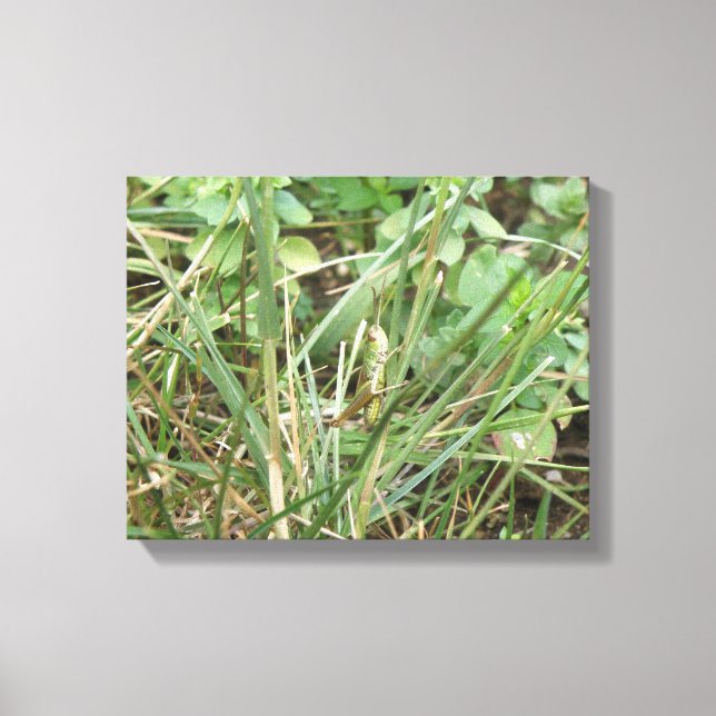 Grasshopper Camouflage Canvas Print (Front)