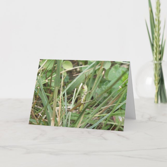 Grasshopper Camouflage Greeting Card (Front)