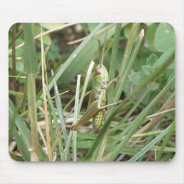 Grasshopper Camouflage Mousepad (Front)