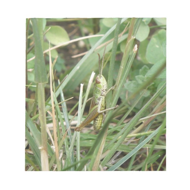 Grasshopper Camouflage Notepad (Front)
