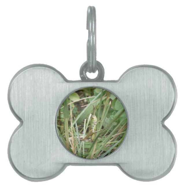 Grasshopper Camouflage Pet Tag (Front)