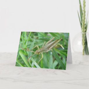 Grasshopper Customizable Greeting Card