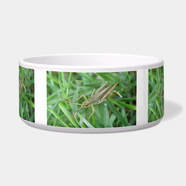 Grasshopper Dog Bowl (Front)