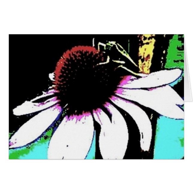 Grasshopper Echinacea Abstract (Front Horizontal)