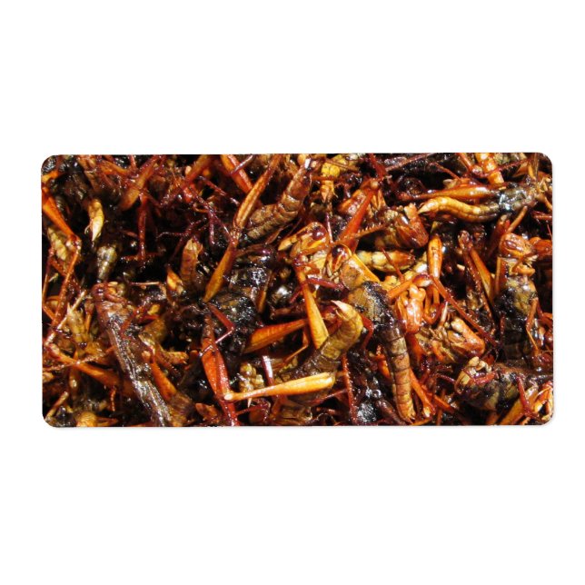 Grasshopper frit (Takkataen Thot) Alimentation asi (Devant)