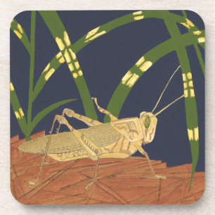 Grasshopper in Green Grass on Blue Background Coaster