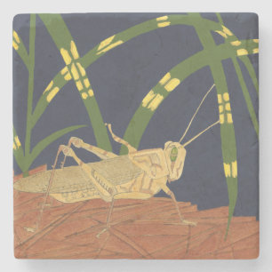 Grasshopper in Green Grass on Blue Background Stone Coaster