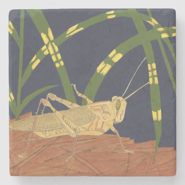 Grasshopper in Green Grass on Blue Background Stone Coaster (Front)