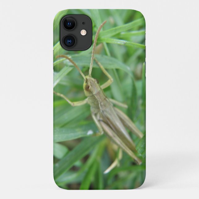 Grasshopper iPhone 3 Case (Back)