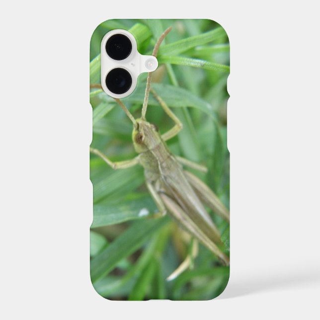Grasshopper iPhone 3 Case (Back)