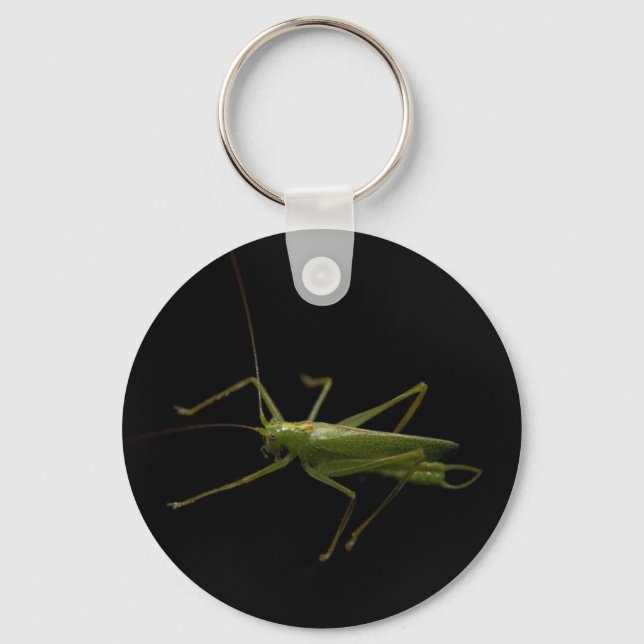 grasshopper keychain (Front)
