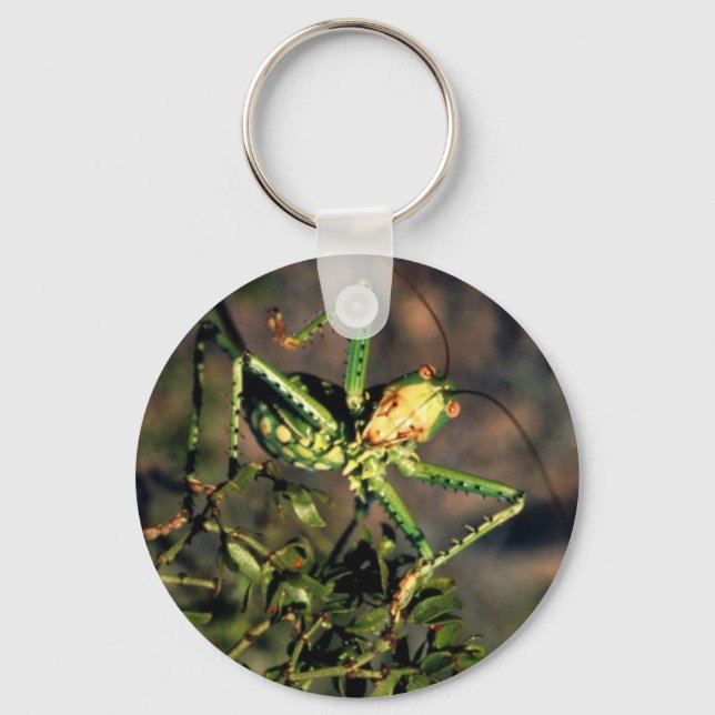 Grasshopper Keychain (Front)