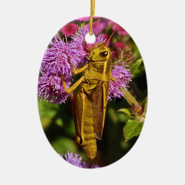 Grasshopper on Ageratum Ceramic Ornament (Front)