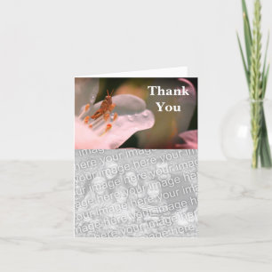 Grasshopper On Azalea Thank You Photo Card