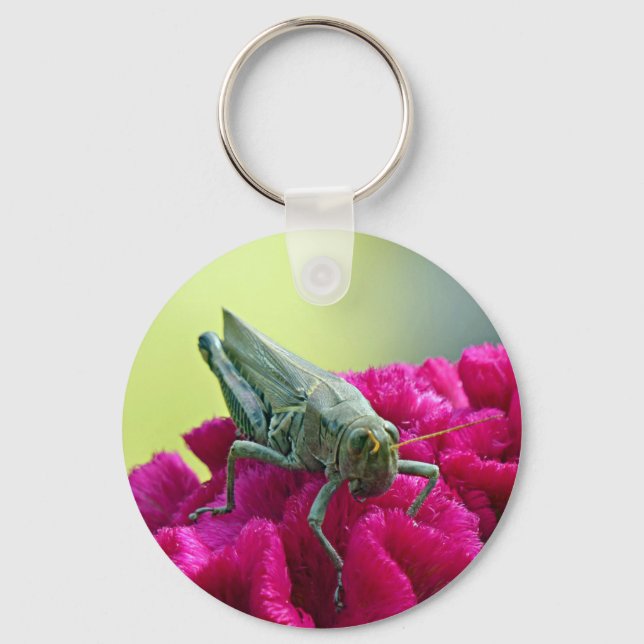 Grasshopper on Cockscomb Keychain (Front)