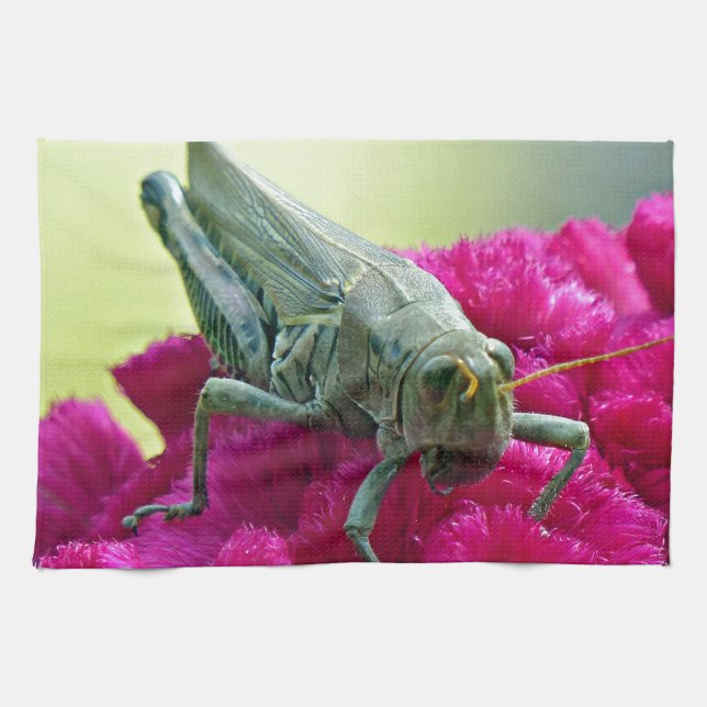 Grasshopper on Cockscomb Kitchen Towel (Horizontal)
