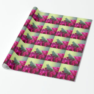 Grasshopper on Cockscomb Wrapping Paper
