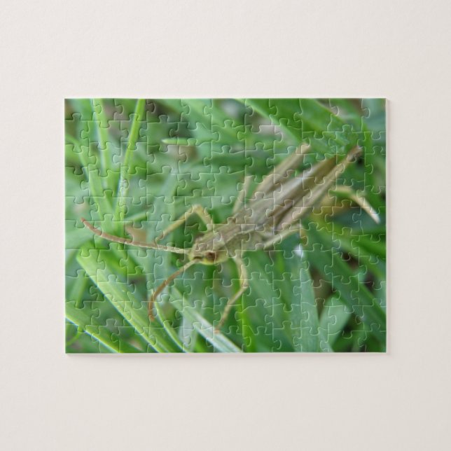 Grasshopper Puzzle (Horizontal)