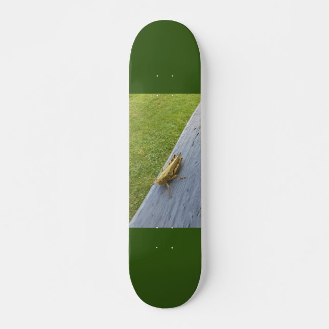 Grasshopper Skateboard (Front)