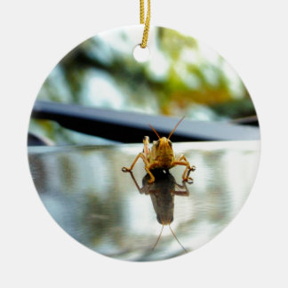 grasshopper stand off ceramic ornament