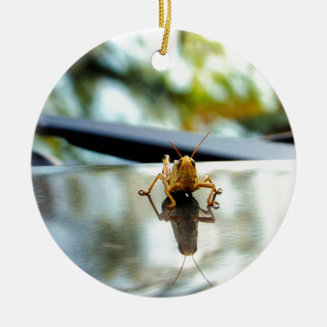 grasshopper stand off ceramic ornament (Front)