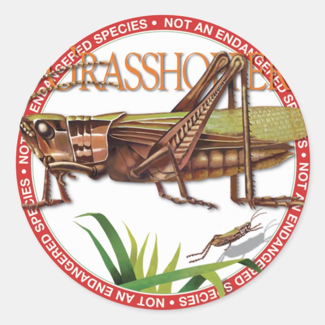 Grasshopper Sticker (Front)