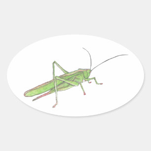 Grasshopper Sticker