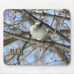 Grasshopper Swallow in Malple Tree your Initials Mouse Pad