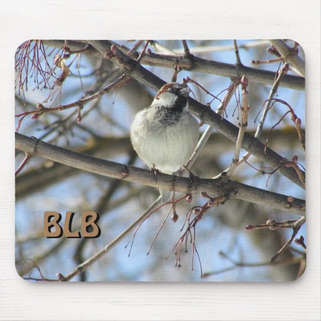 Grasshopper Swallow in Malple Tree your Initials Mouse Pad (Front)