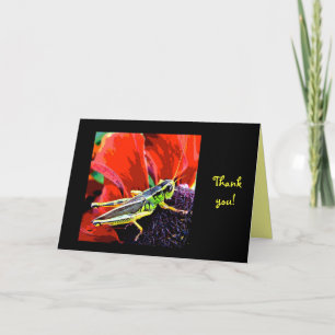 Grasshopper Thank You