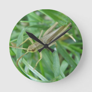 Grasshopper Wall Clock