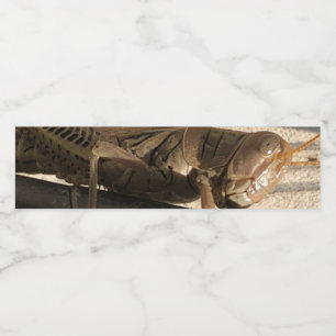 Grasshopper water bottle label